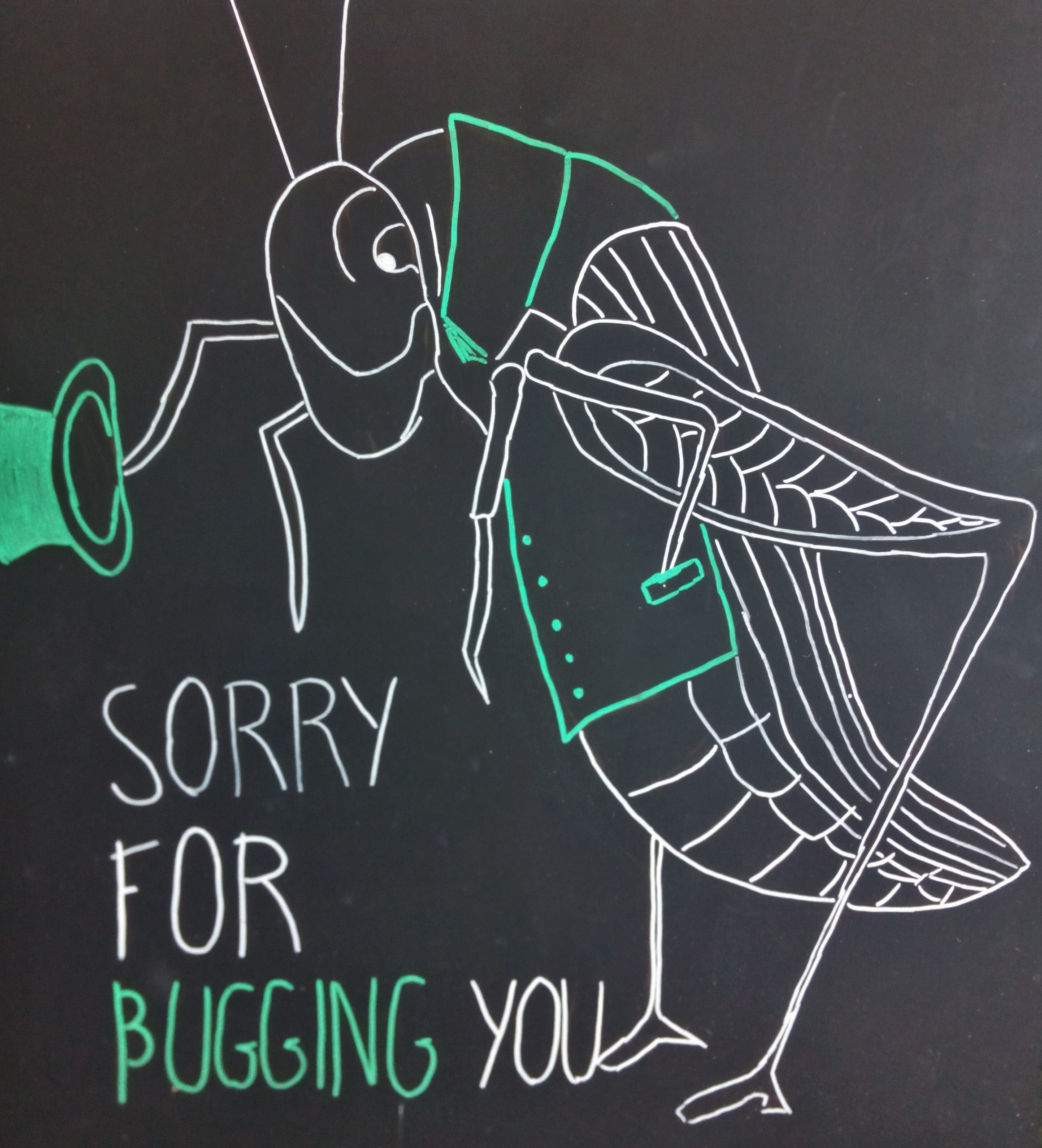 Insecuisine | Insecten eten | Sorry for bugging you