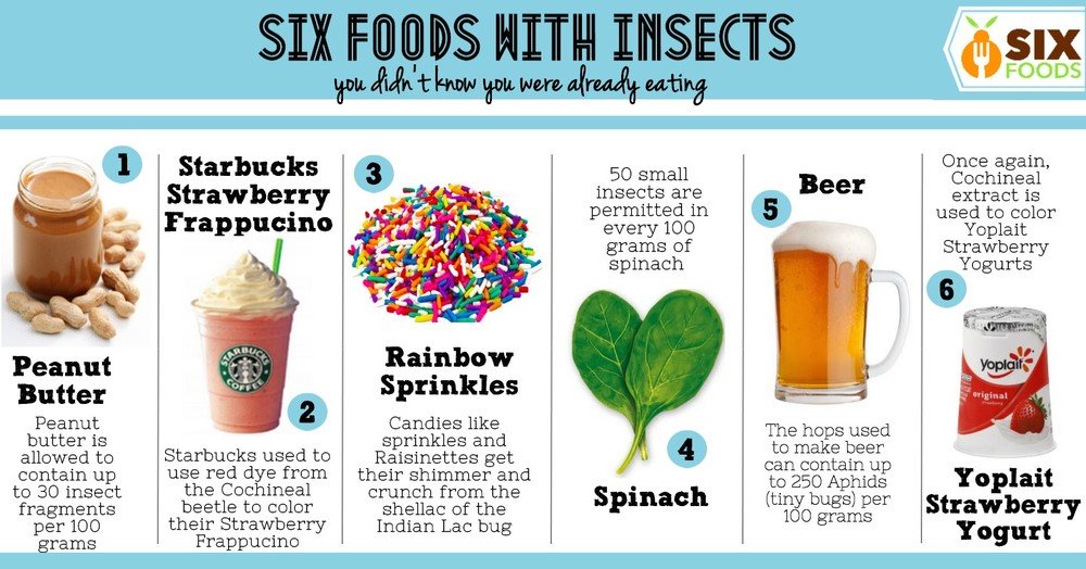 Insecten al in je eten?
