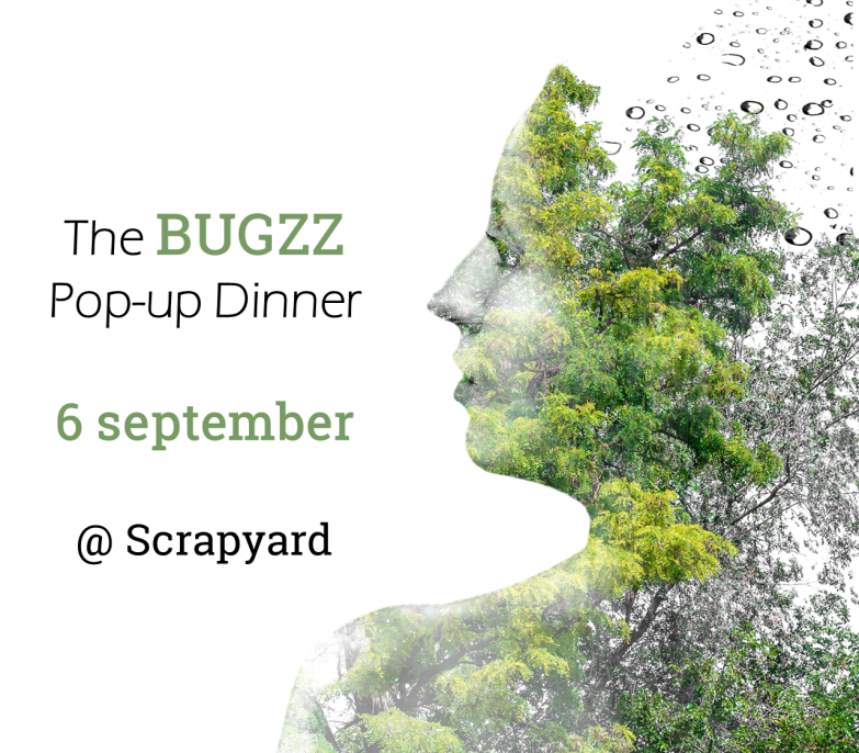 Pop up dinner | Bugzz